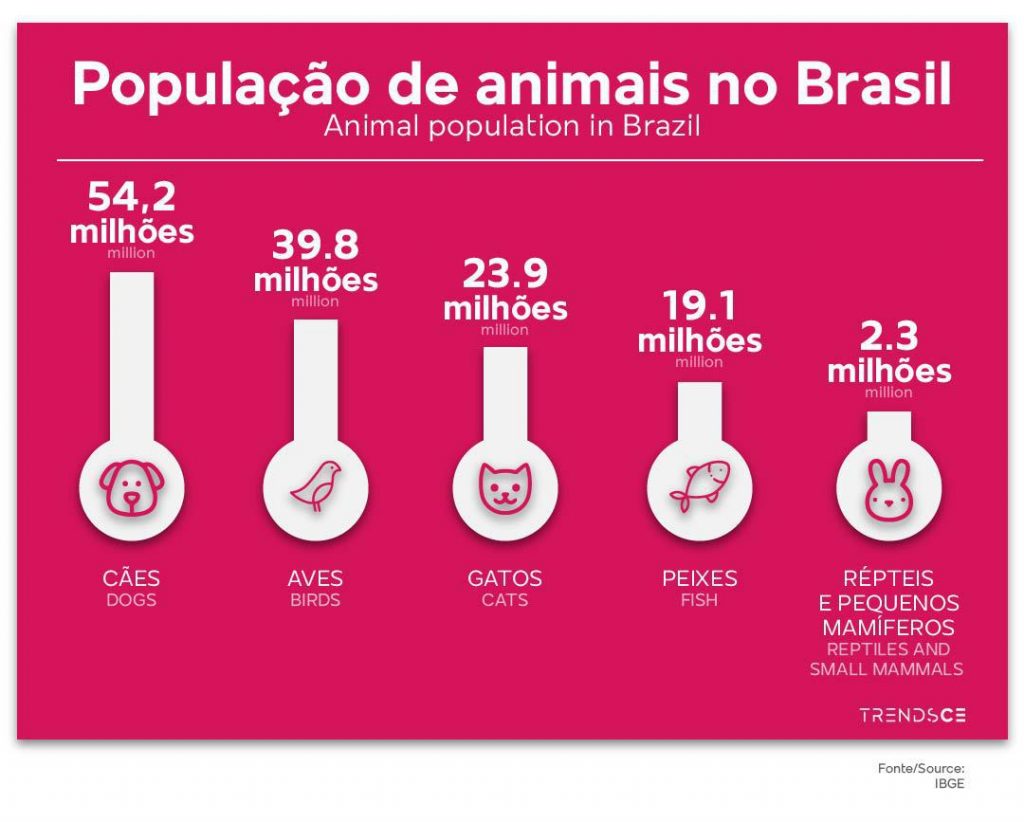 Pet no Brasil