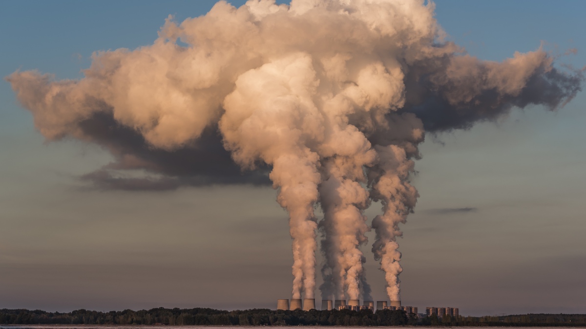 COP 28: Como as marcas podem se preparar para 2025?