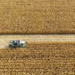 el niño e agro