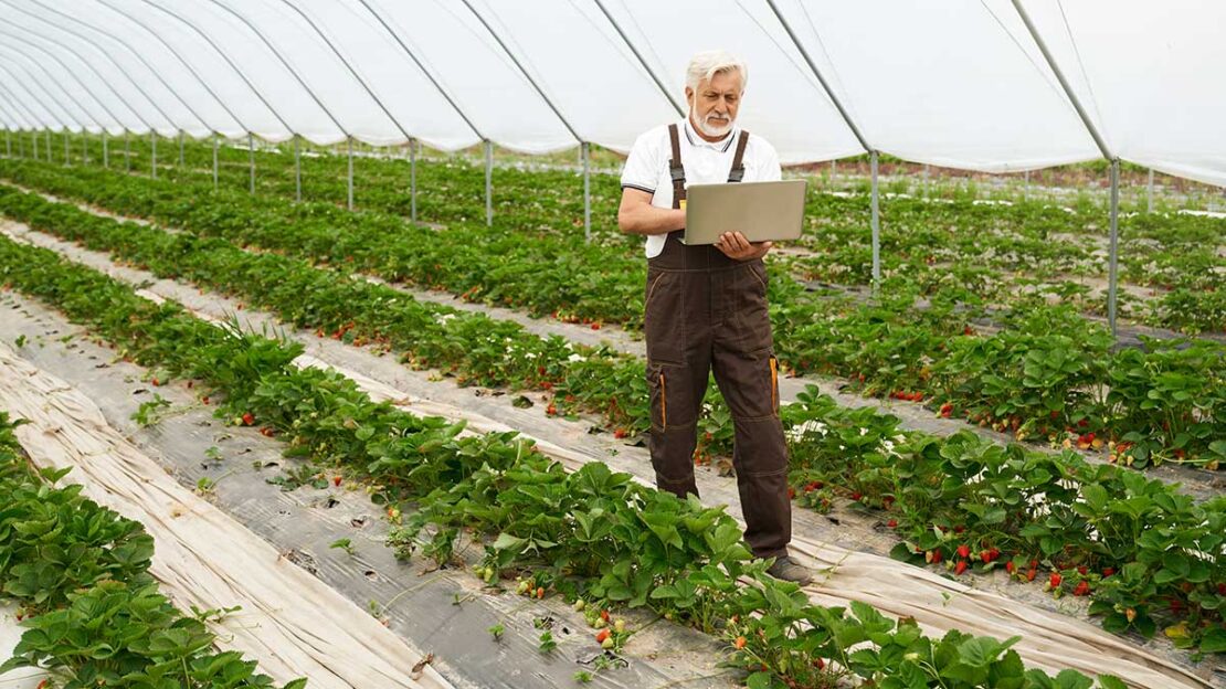 tokenização no agro