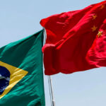 exportações para china e brasil