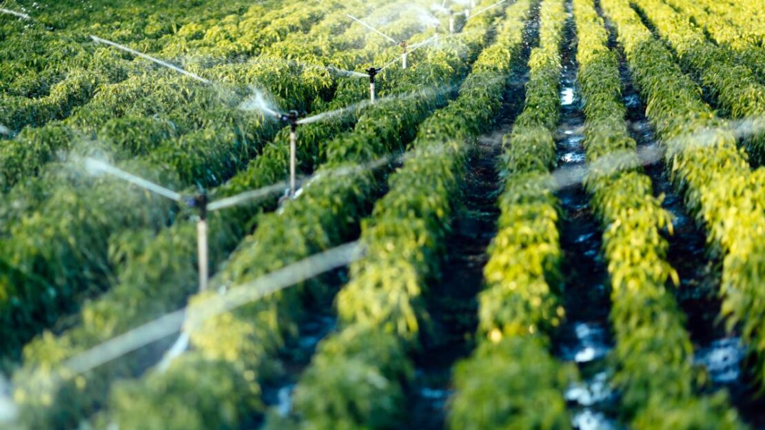 ceará e polos de irrigação